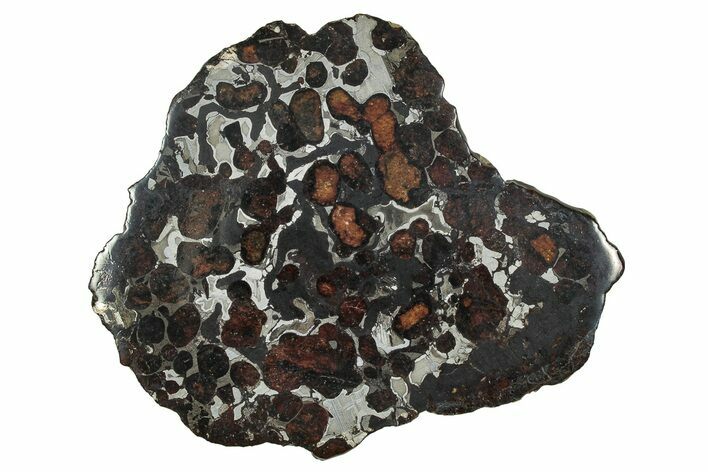 Sericho Pallasite Meteorite ( g) Slice - Kenya #335728